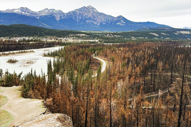 Wildfire Peak Nic - Key highlights to know before you go
