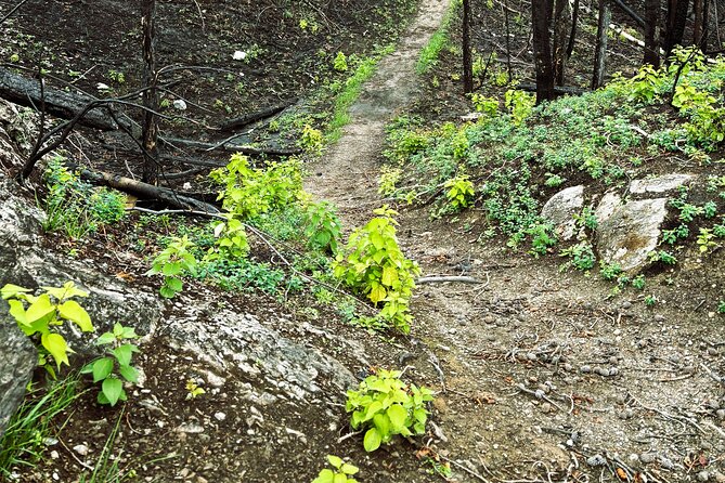 Wildfire Peak Nic - Who should book Wildfire Peak-Nic