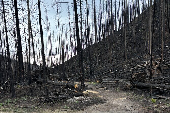 Wildfire Peak Nic - Practical tips to make the day smoother