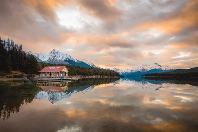 Wildlife Wild Skies: Jasper Planetarium Combo - Jasper National Park wildlife spotting: what the 3-hour drive is really like