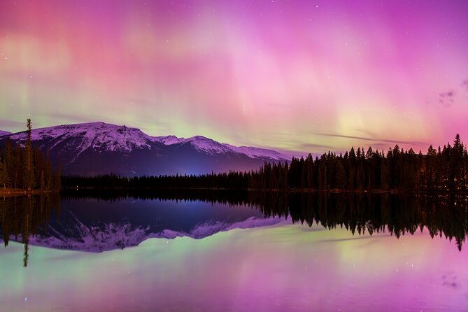 Wildlife Wild Skies: Jasper Planetarium Combo - The Jasper Planetarium show: interactive astronomy, photo tips, and the telescope