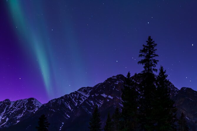 Wildlife Wild Skies: Jasper Planetarium Combo - The combo timing: the part you should plan around