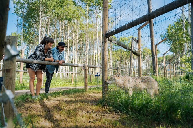Yamnuska Wolfdog Sanctuary Walk Ticket in Canada - Gift Shop Stop and the Meaning of Your Ticket