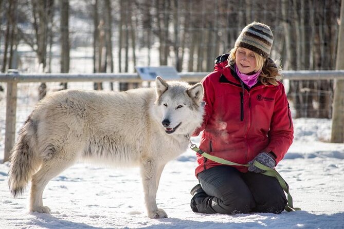 Yamnuska Wolfdog Sanctuary Walk Ticket in Canada - Price vs. Value: Is $29.27 a Good Deal?