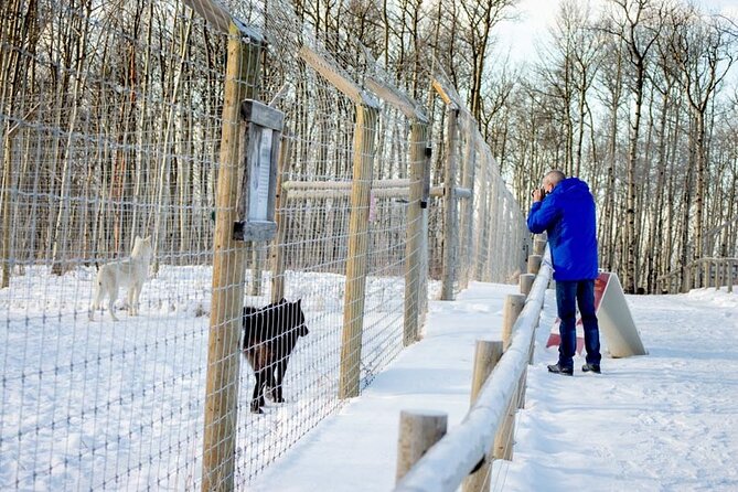 Yamnuska Wolfdog Sanctuary Walk Ticket in Canada - Who This Sanctuary Walk Is Perfect For